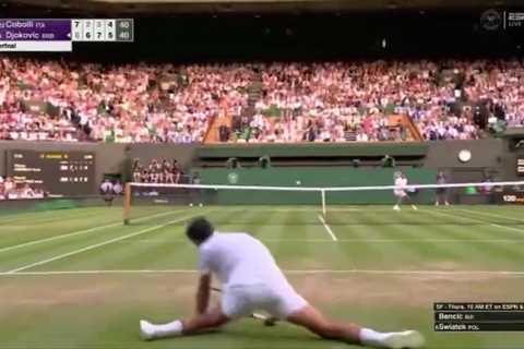 Watching Djokovic Eat Dirt at Wimbledon Made My Heart Stop