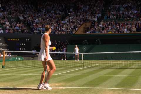 That Moment When a Wimbledon Umpire Became Everyone's Hero