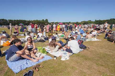 Wimbledon's Queue Drama: When Tennis Fans Meet Flying Mammals