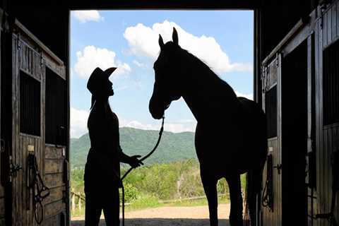 The Ultimate Guide to Attending Equine Events in Southwest Washington