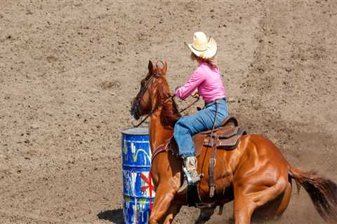 Expert Tips for Staying Updated on Equine Events in Southwest Washington