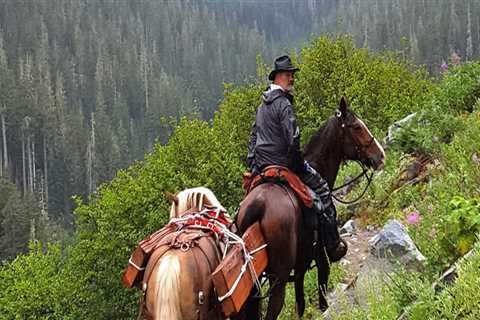 The Ultimate Guide to Bringing Your Horse to Equine Events in Southwest Washington