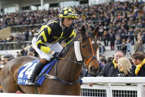 This Jockey Just Torched His Career Over the Dumbest Cocaine Story I've Ever Heard