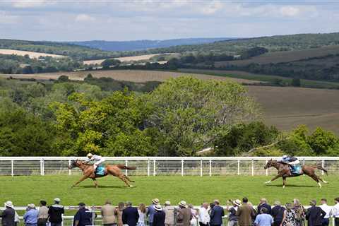 Another Horse Down at Goodwood - When Will This Nightmare End?