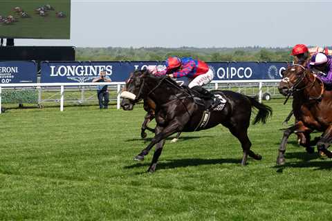 Why Big Mojo Could Make Mick Appleby Look Like a Genius Again