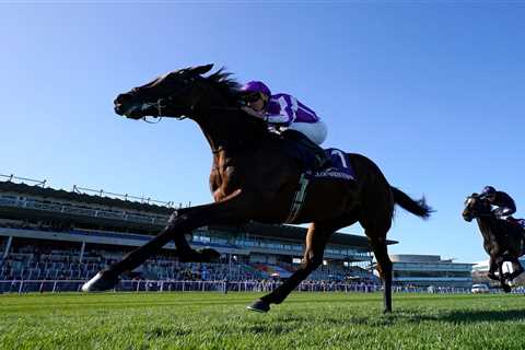 What the Hell Just Happened? O'Brien's £1.2M Juddmonte Shocker Left Everyone Scratching Their Heads