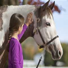 Unlocking the Educational Opportunities at Horse Shows in Northeast Ohio