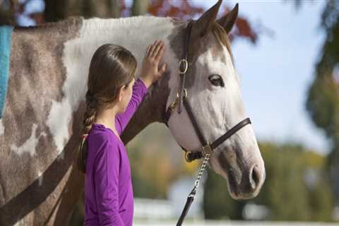 Unlocking the Educational Opportunities at Horse Shows in Northeast Ohio
