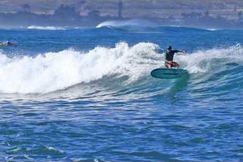 Pua''ena Point ~[4K/RAW] Mellow Relaxing Longboard Surfing North Shore O''ahu Hawaii |