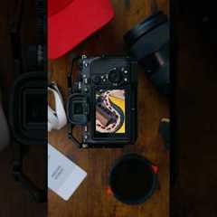 All the action from the #FerrariF50 Legacy Tour. #FerrariLegacyTour #Ferrari