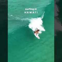 Sunny sand bar days 🏄🏼‍♀️: 🚁: #surf #surfing #surfers #hawaii #paradise #northshore #oahu