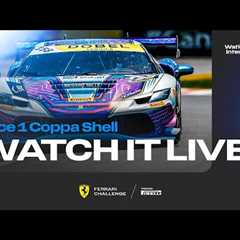 Ferrari Challenge North America - Watkins Glen, Race 1 - Coppa Shell